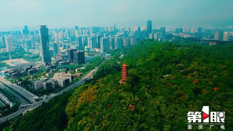 微信图片_20230103094428.png