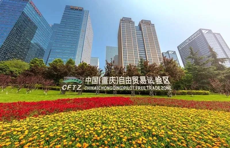 重庆市商务委图片